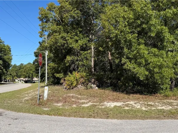 24 Saintpaulia St, Homosassa, FL 34446