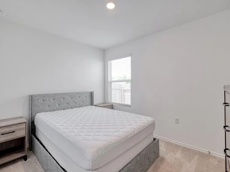 2516 Carpathian Cv — Photo 18