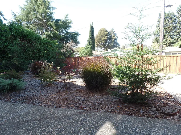 Robinson St — Photo 8