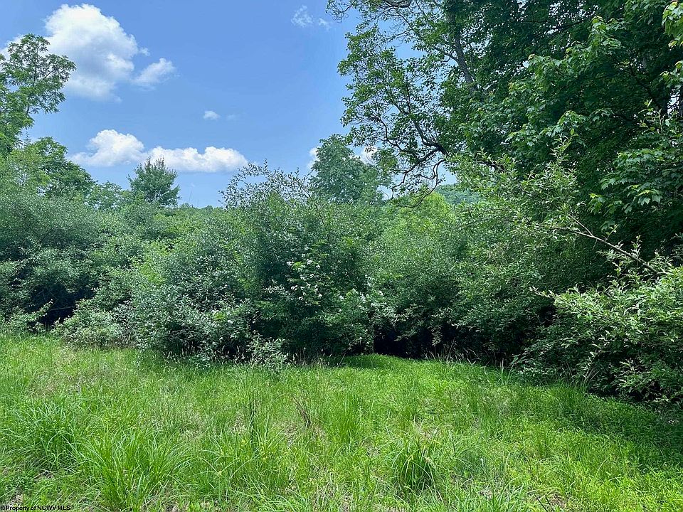 Laurel Lick Abbots Run Rd, Weston, WV 26452 Zillow
