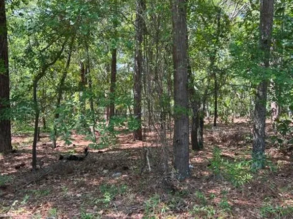 Tbd Circlewood Drive, Hamlet, NC 28345