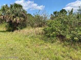 787 Parrotfish St SW, Palm Bay, FL 32908