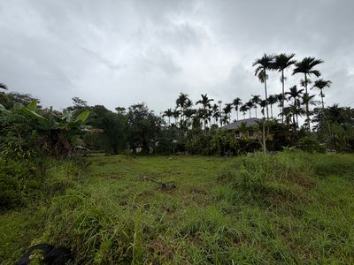 Iwasaki Vlg Lot 43, Kurtistown, HI, 96760