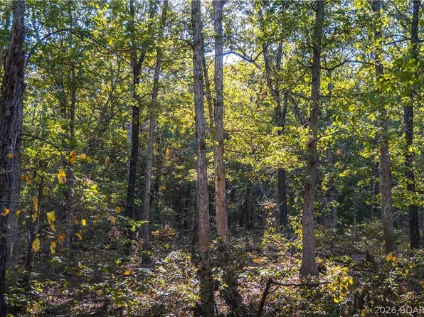 50 Acres Partridge Dr, Climax Springs, MO 65324