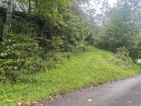 0 Little Lick Rd, Inez, KY 41224