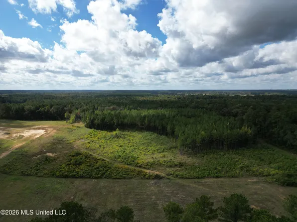 LOT 2 Sulphur Springs Rd #2, Canton, MS 39046