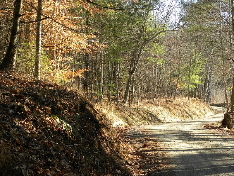 1st image of Tbd Dickey Dr.