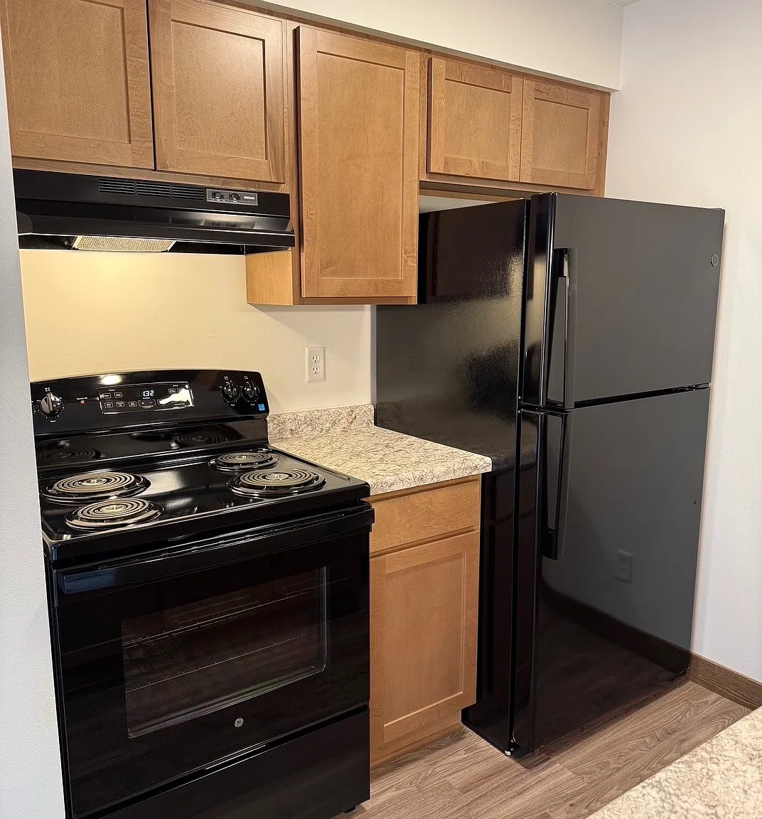 1 bed, $950 — Photo 2
