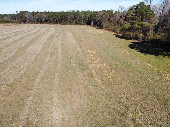 3rd image of TBD Highway 917