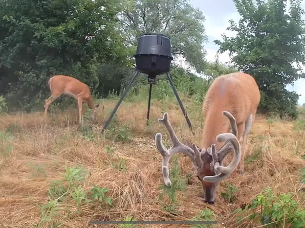 S &, Kingman, KS 67068