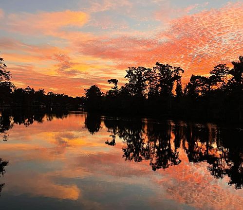 2nd image of 3855 River Rd