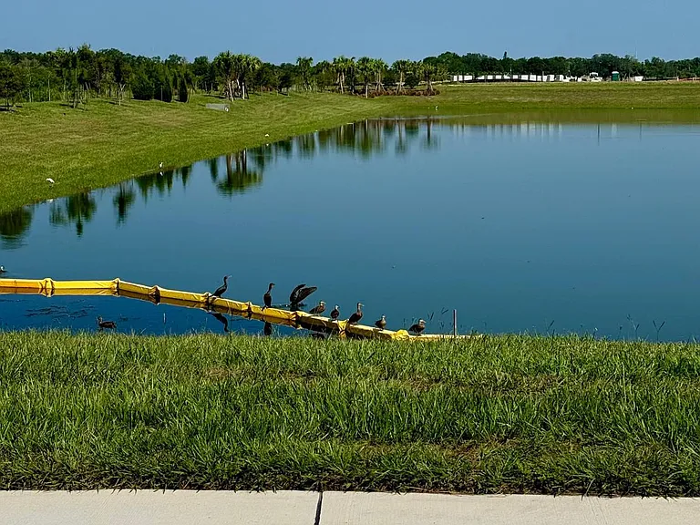1341 Daisy Field Dr — Photo 16