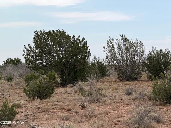 1037 Mira Rd #6, Heber, AZ 85928