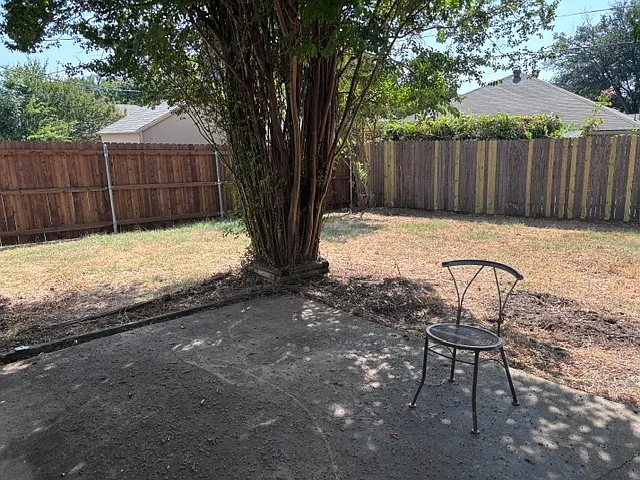 back yard