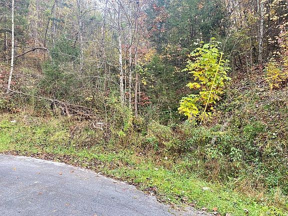 5th image of 0 Maples Branch Rd Lot 14&13