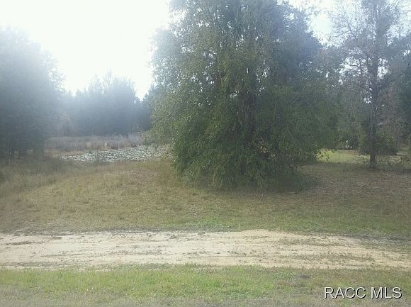 2nd image of 2686 S Briarwood Ter