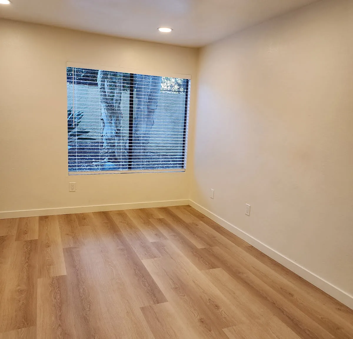 1 bed, 378 sqft, $1,875 — Photo 4