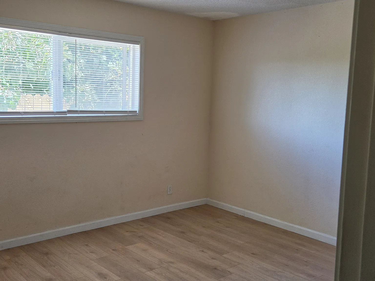 2 bed, 800 sqft, $2,400 — Photo 3