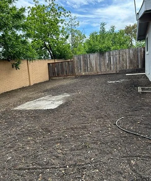 1011 Alberni St — Photo 4