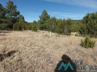 96 Las Vegas Blvd, Las Vegas, NM 87701