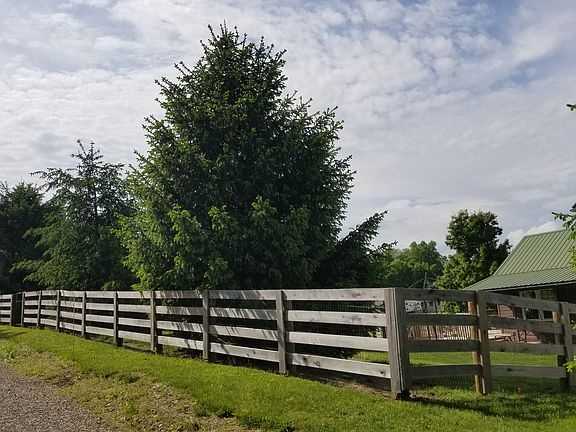 Large fenced-in area of yard
