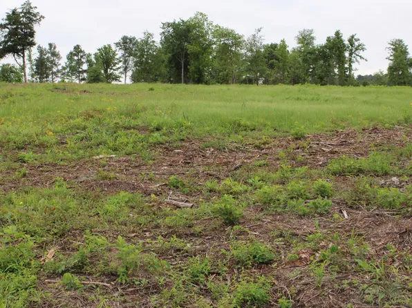 County Road 2217 Lot 3, Rusk, TX 75785