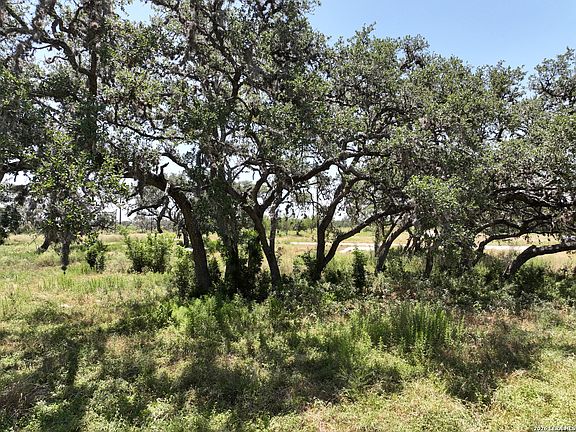 3rd image of 182 Grand Oaks LOT 182