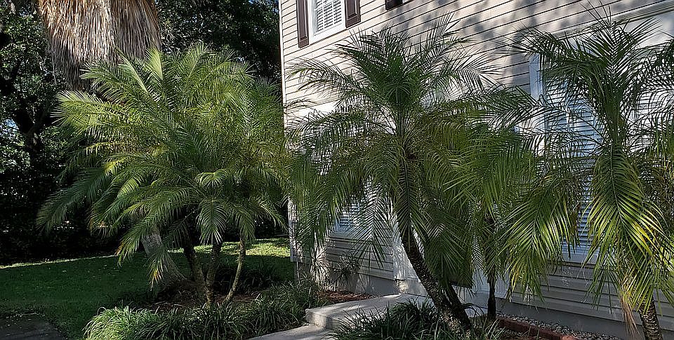 1st image of 3112 Colonial Dr