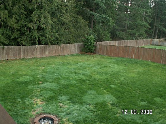 Huge backyard with a garden