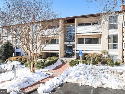 5612 Bloomfield Dr APT 204, Alexandria, VA, 22312