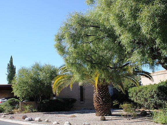 2nd image of 526 W Calle Lago