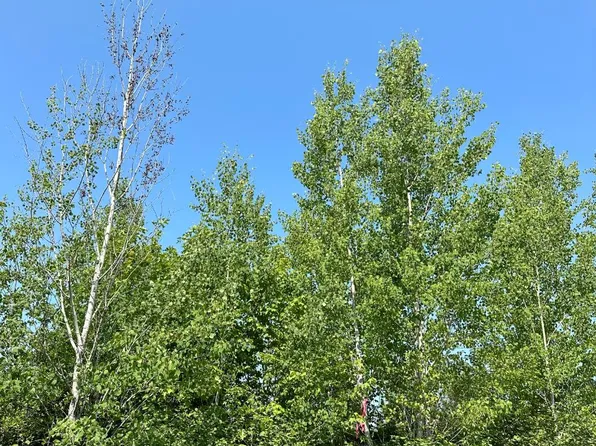 Lund Rd Lot 23, Tomahawk, WI 54487