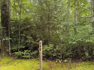 46 Skeen Mill Ln, Cullowhee, NC 28723
