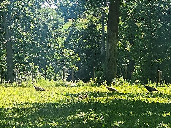 3rd image of Lot 28 21st Street