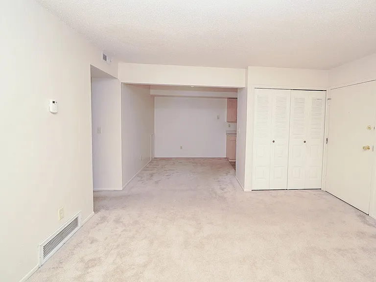 Madeira Apartments — Photo 11
