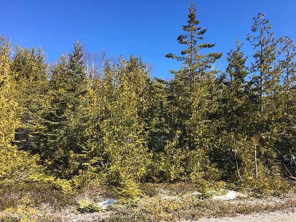 4th image of Presque Isle Park Dr