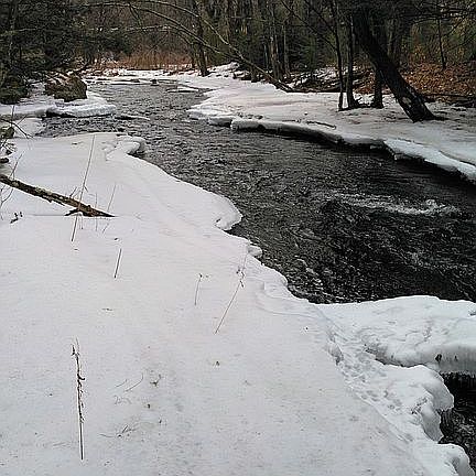 Brook (rear boundary) south 