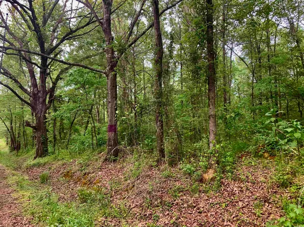 385 Burns Rd, Austin, AR 72007