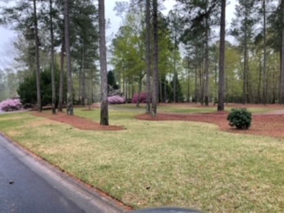 Pocket park at end of LBL