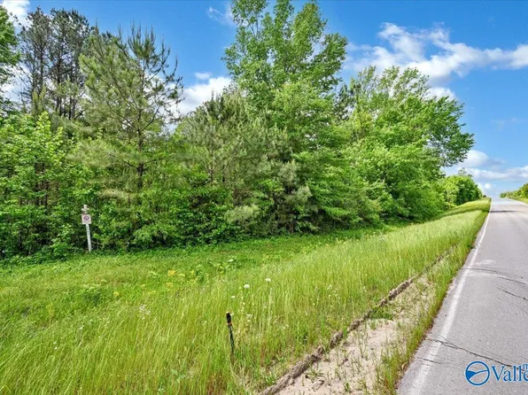 LOT 1 E Lacon Rd, Falkville, AL 35622