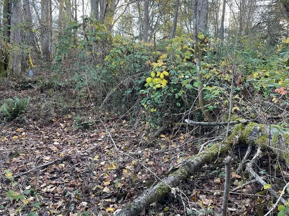 0 NHN Indiana Street, Bellingham, WA 98226