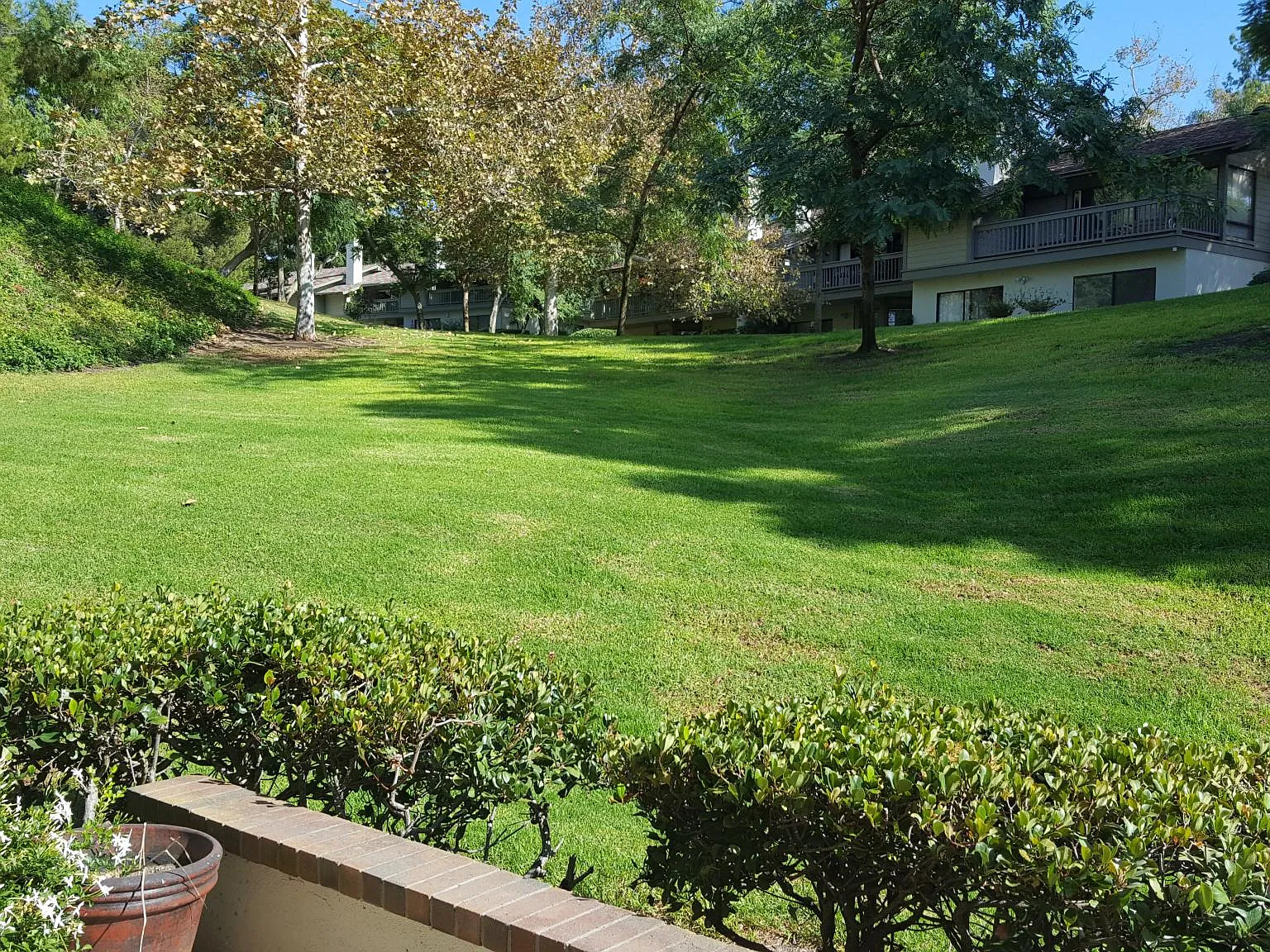 56 Arboles — Photo 3