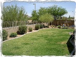 Resort Backyard!