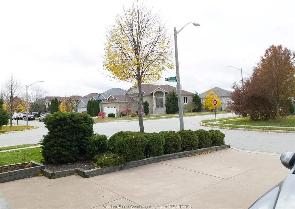 3 bed, $1,850 — Photo 2