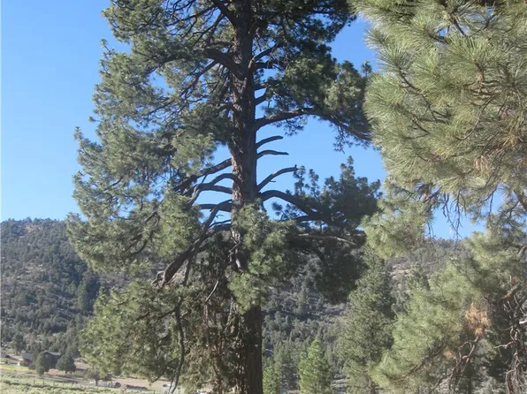 2824 Erwin Ranch Rd Lot 17, Big Bear City, CA 92314