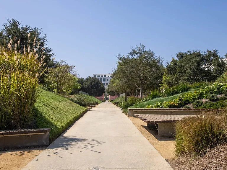 Take a stroll through Central Park's gorgeous walking trails.
