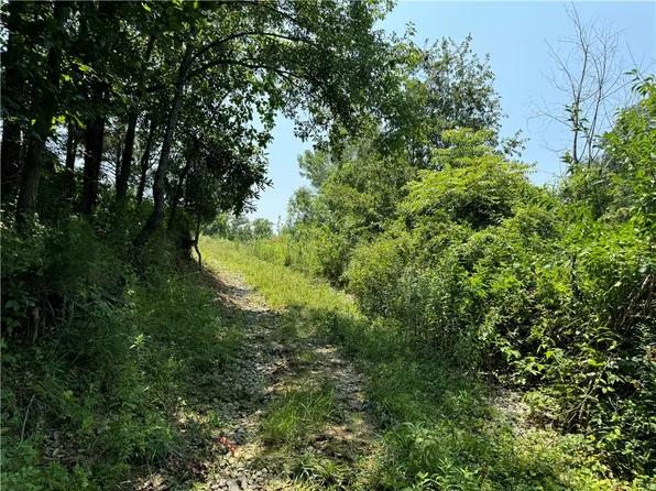 E 900th Ave, Wheeler, IL 62479