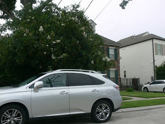 5th image of 612 Bath Ave