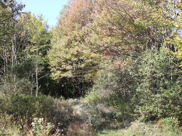 1429 Sand Bank Rd, Masontown, WV 26542