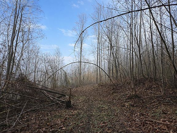 3rd image of 1 Lower Turkey Creek Rd